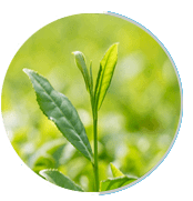 NeuroSurge
